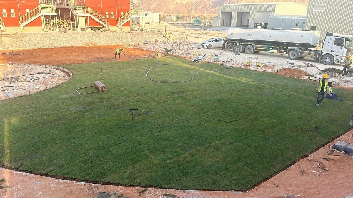 Landscape team installing turf on a project site